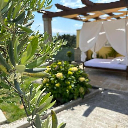 Quinta Da Menina Guest House Віла-Реал Екстер'єр фото
